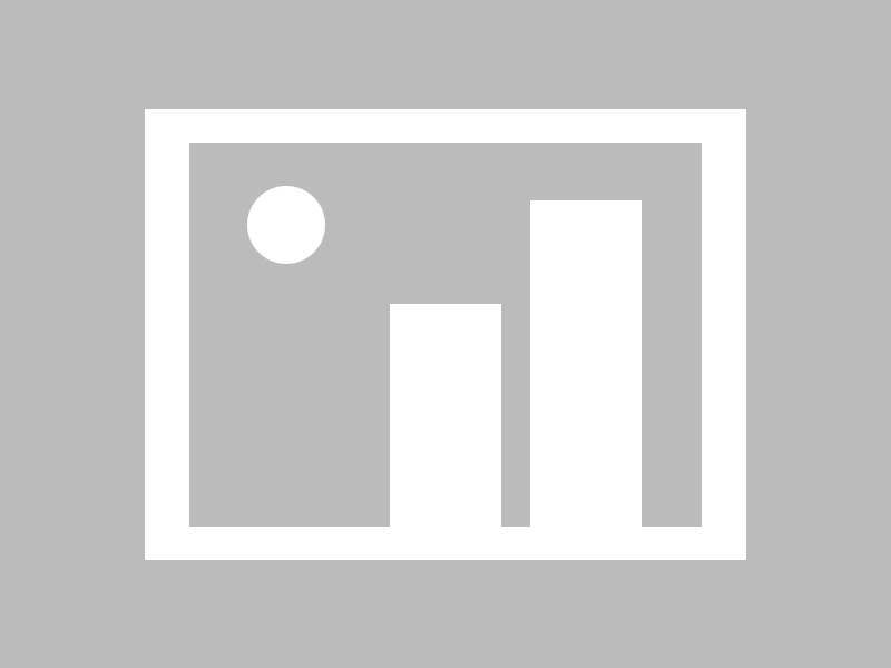 猛龙队主帅不满球队表现