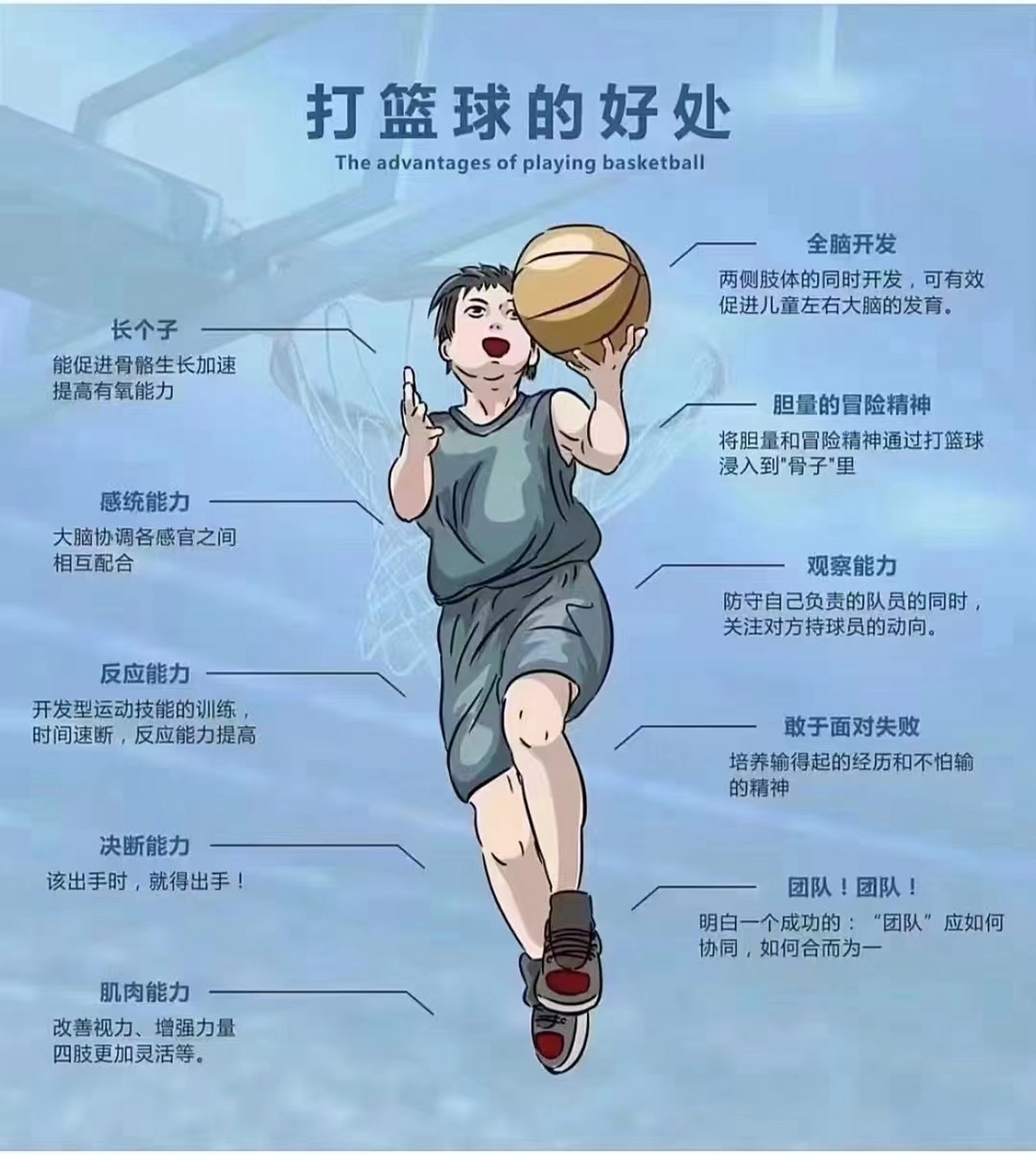 关于篮球名家分享心得，诠释篮球魅力的信息