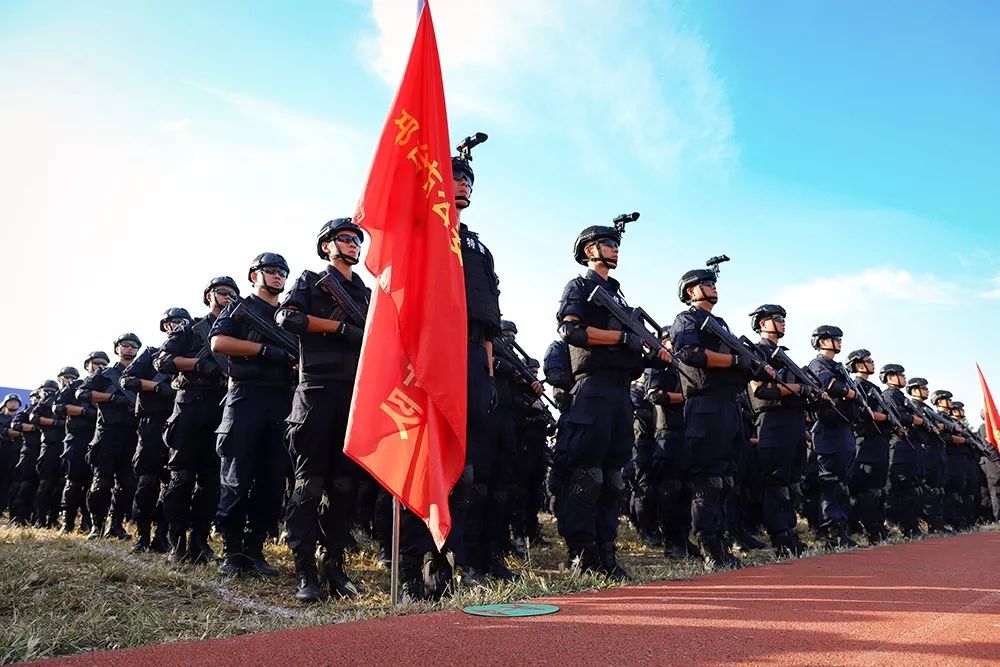 各队战术翻新引关注，技惊四座震撼联盟的简单介绍