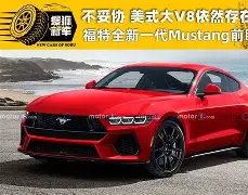 关于斯图加特磨砺不妥协，风尘仆仆胜利的信息