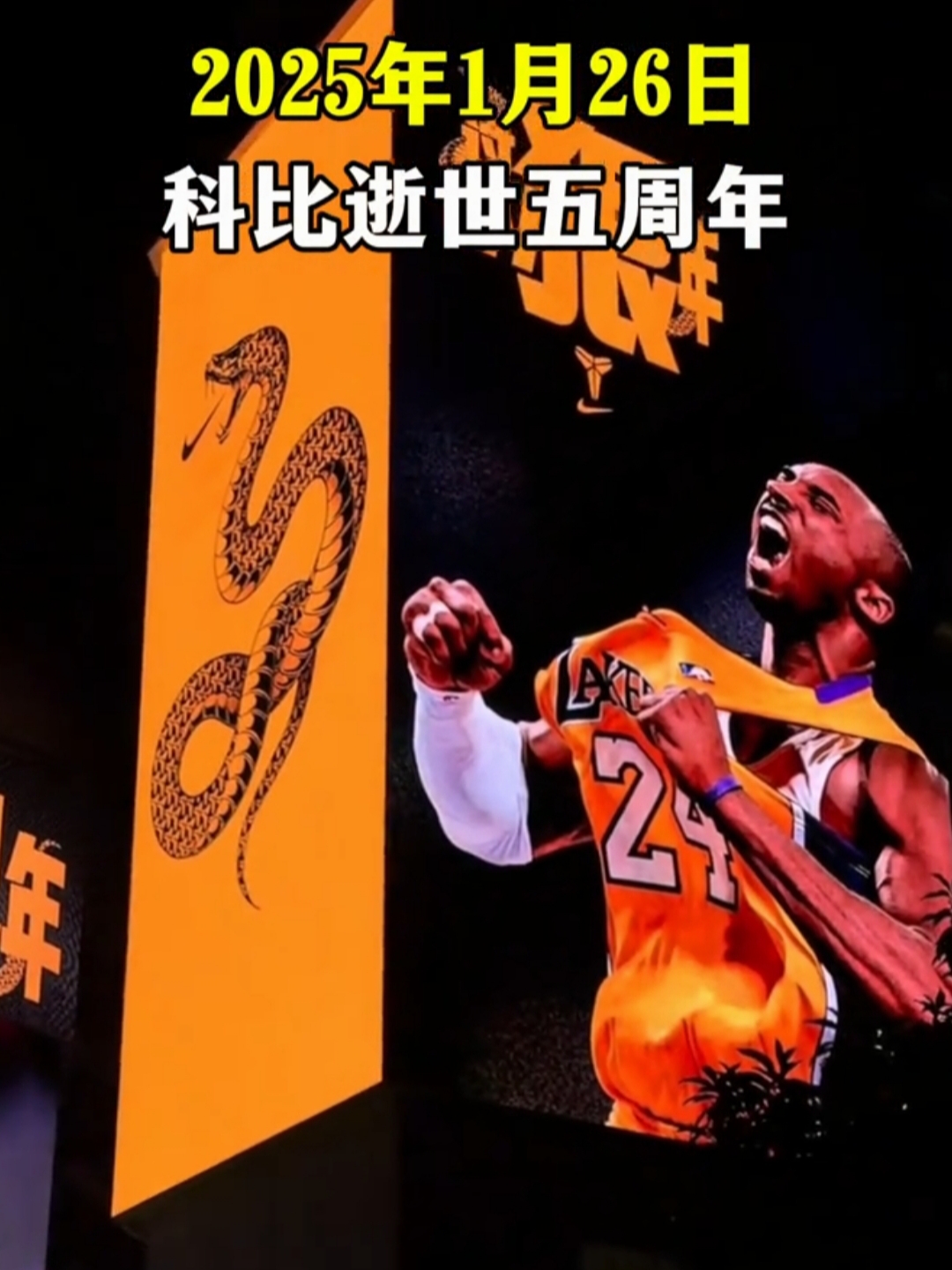 尼尔离开湖人后科比三年没过首轮